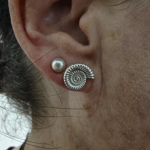Ammonite stud earrings solid - ammonite,