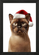 Festive Burmese Cat in Santa