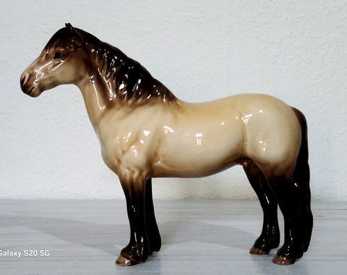 Beswick dun highland - beswick,