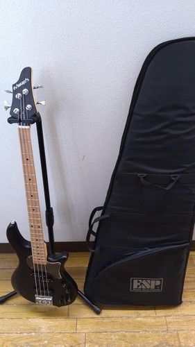 Esp 145 sbbk electric - esp,