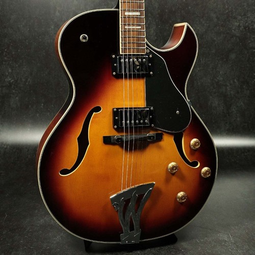 Washburn used electric - j-3,