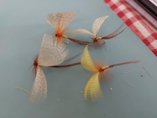 Yellow drake mayfly size - drake,