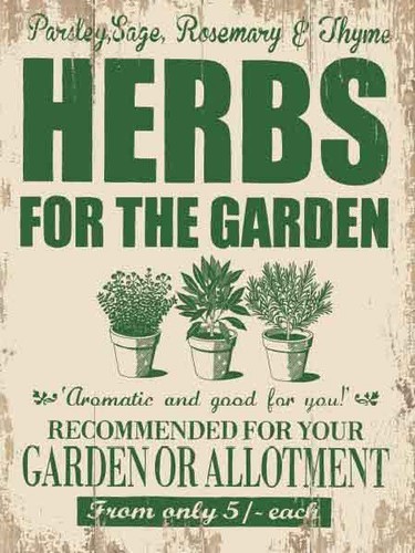 Herbs for the garden - the,