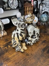Picture Jasper Sphinx cat