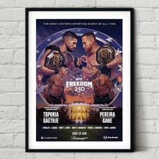 Ufc freedom 250 ilia topuria - ufc,