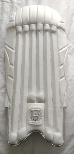 Woodstock pro wicket keeping - woodstock,