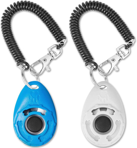 Pack dog training - dog,