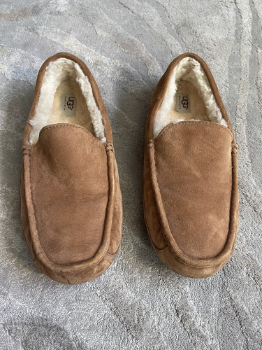 Ugg ascot slippers men - ugg,