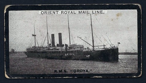 Singleton cole orient - -,