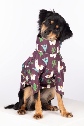 Patterned waterproof dog coats - patterned,