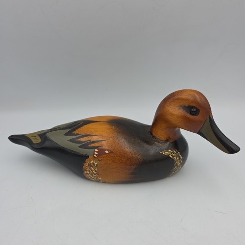 Hand painted cinnamon teal - hand,
