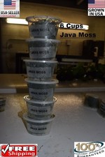 6 cups of JAVA MOSS plants