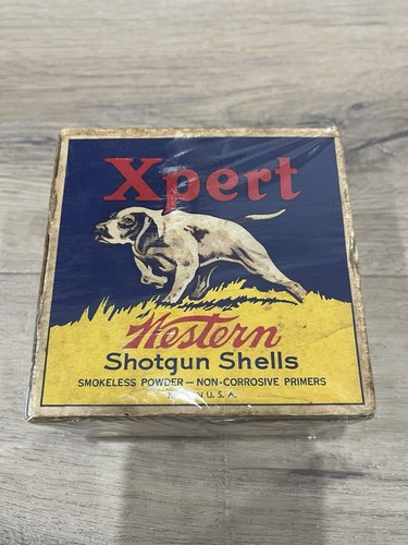 Empty shotshell shotgun gun - empty,