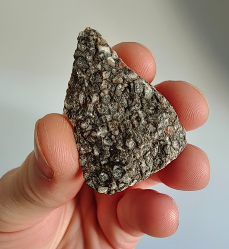 Fossil dino bone chunk usa - fossil,