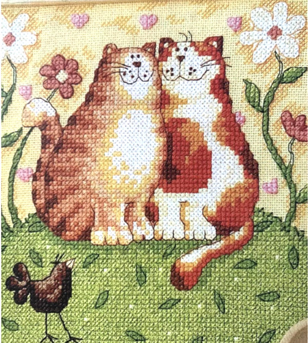 Cat cats feline kitten pet - cats,