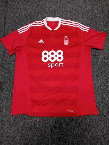 Retro nottingham forest - forest, home