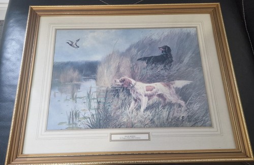 Duck rising framed print - duck, by