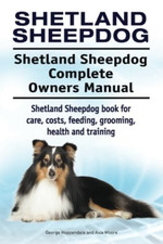 Shetland Sheepdog. Shetland