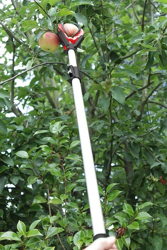 Fruit picker telescopic - fruit,