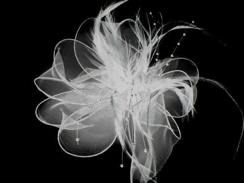 Chiffon feather hair - &,