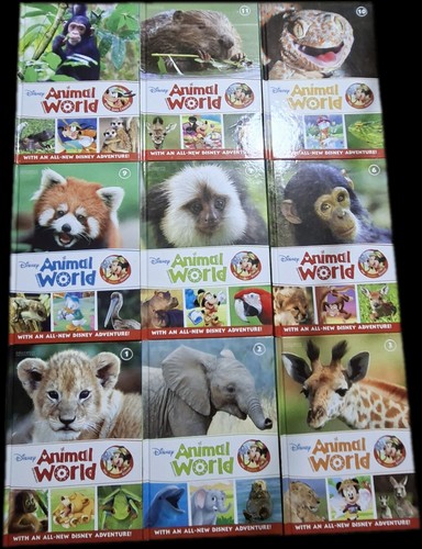 Disney animal world hard - 9,