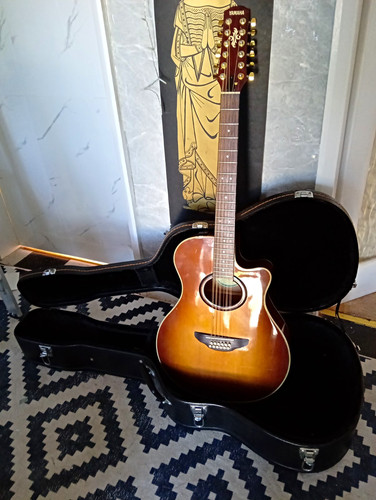Yamaha apx 12a - 12, string