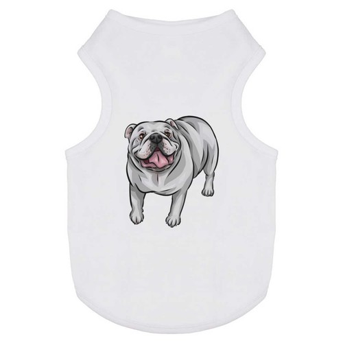 White english bulldog pet - bulldog',