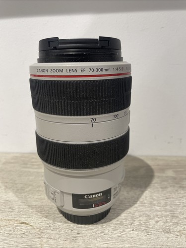 Canon 300mm 5 - 70-300mm, f/4-5.6