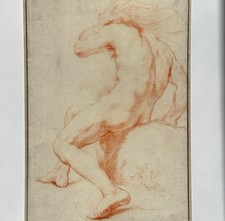 Old master andrea sacchi - master,