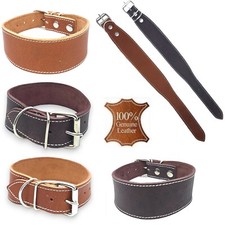 Real soft Leather Hand Made Dog Pet Collar Whippet Greyhound Saluki Lurcher