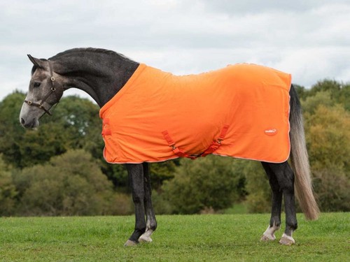 Fleece horse rug - horse,