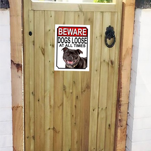Beware dogs loose - dogs,