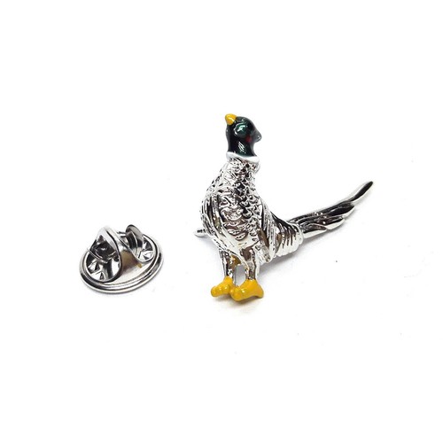 Pheasant bird with feature - pheasant,