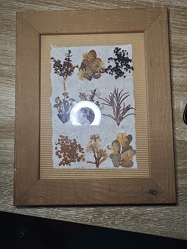 Pressed flowers hardwood - in,