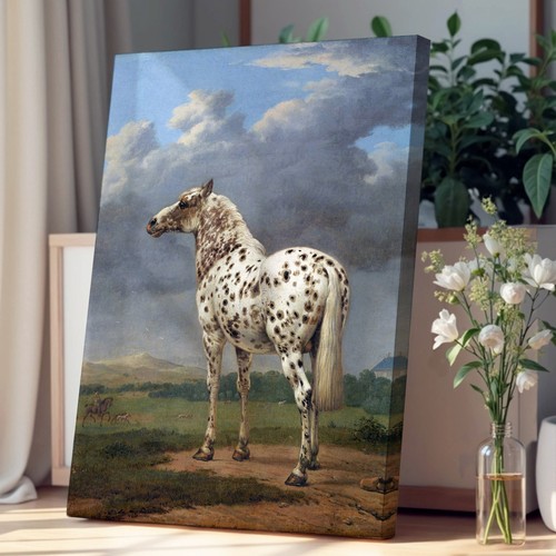 The piebald horse paulus - the,