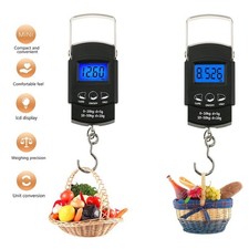Portable Electronic Hook Scale