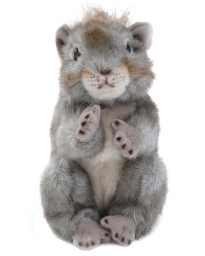 Bearington peanut squirrel - bearington,