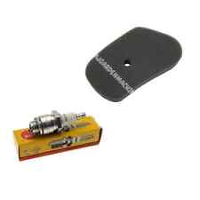 HONDA GV100 HR173 HRB423 HRB535  NGK SPARK PLUG AIR FILTER