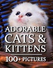 Cat Photography Book -