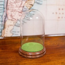 Small Antique Display Dome