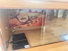Reptile Vivarium 3x2x2 foot - snakes, lizards, bearded dragons 