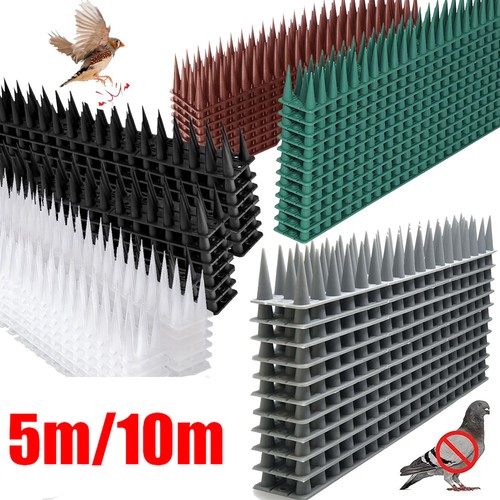 Cat bird repellent spikes - bird,