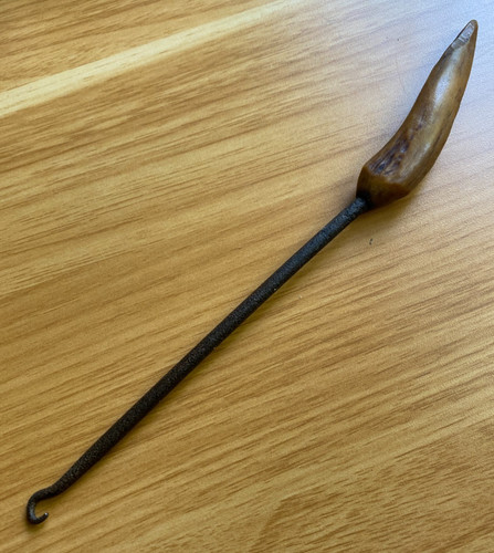 Antique victorian stag antler - antique,