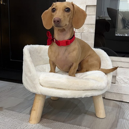 Pet elevated bed - fluffy, small