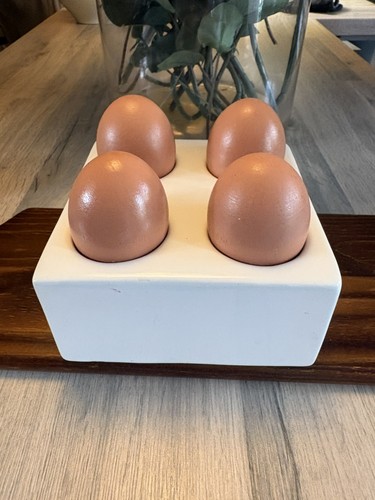 Egg holder tray - tray,