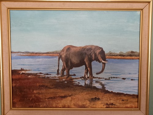 African elephant oil painting - african,