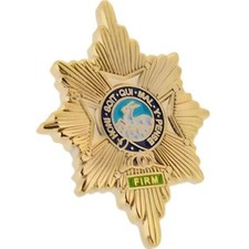 Worcestershire and Sherwood Foresters Regiment (29th/45th Foot) Lapel Pin