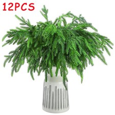 12X Christmas Norfolk Pine