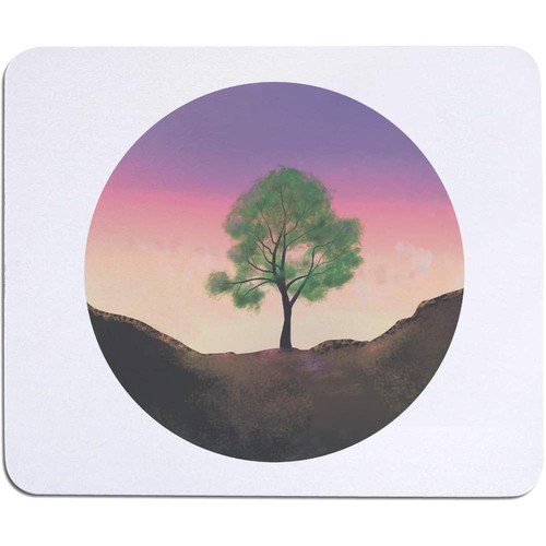 Sycamore tree sunset - 'sycamore, at