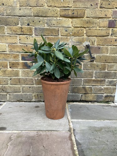 Large vintage terracotta pot - large,